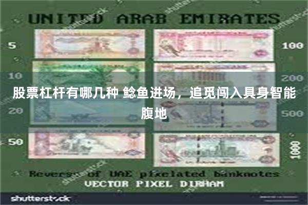 股票杠杆有哪几种 鲶鱼进场，追觅闯入具身智能腹地