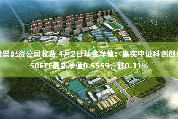 股票配资公司收费 4月2日基金净值：嘉实中证科创创业50ETF最新净值0.5559，跌0.11%