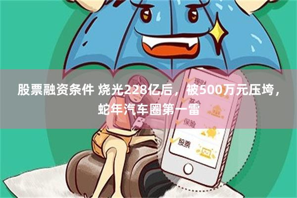 股票融资条件 烧光228亿后，被500万元压垮，蛇年汽车圈第一雷