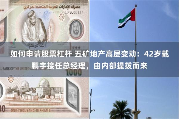 如何申请股票杠杆 五矿地产高层变动：42岁戴鹏宇接任总经理，由内部提拨而来