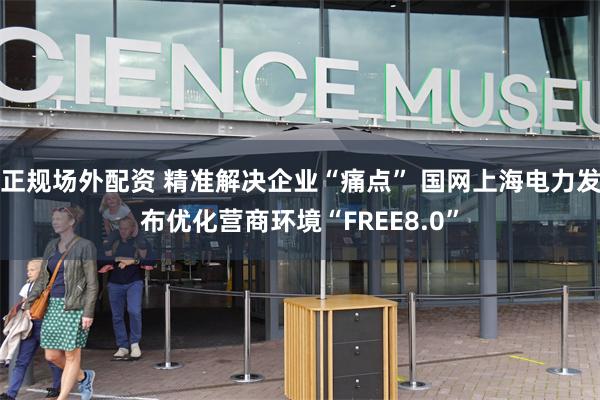 正规场外配资 精准解决企业“痛点” 国网上海电力发布优化营商环境“FREE8.0”