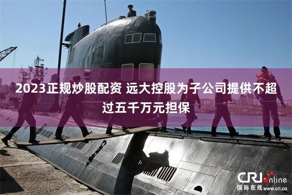 2023正规炒股配资 远大控股为子公司提供不超过五千万元担保